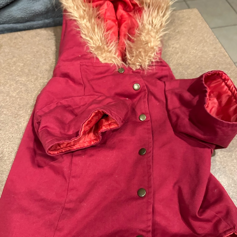 Casual Canine Bright Red pet Hooded Puffer with Faux Fur Trim